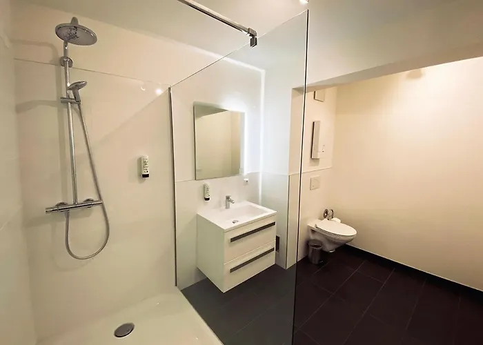 Victoria Altstadt Boardinghouse 아파트호텔 3*