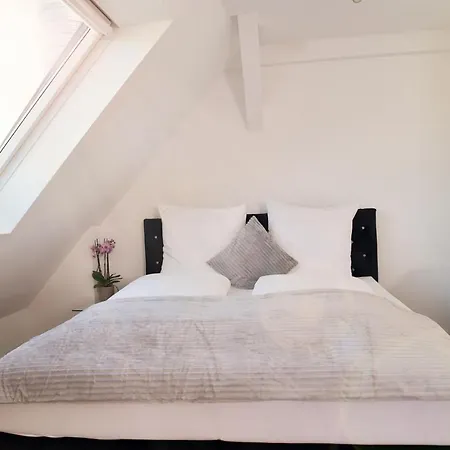 Victoria Altstadt Boardinghouse Aparthotel 3*